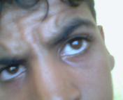 malk