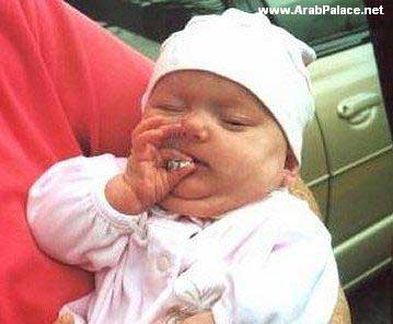 tbla ror bistikat iwa lay3fo